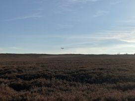 A field with brown vegetation and an airplane flying in the sky at Little Acre in Oxenhope
