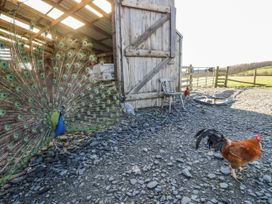 A peacock and rooster near a barn at High Ickenthwaite Farmhouse in Ulverston