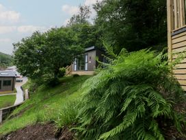 A building surrounded by trees and ferns at Elter Luxury Pod in Keswick