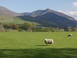 Dubs Luxury Family Pod - Lake District - 1171938 - thumbnail photo 22