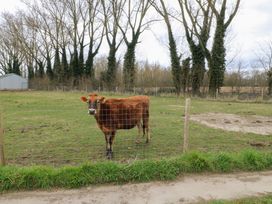 A brown cow standing in a fenced grassy field with trees and a shed in the background at Beatrice's Static Caravan in Spalding