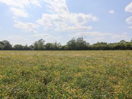 A field of wildflowers under a blue sky at Robin A-frame in Monewden near Otley, Suffolk