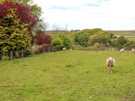A grassy field with sheep and trees in the background at Kirkland Howe Cottage in Arlecdon