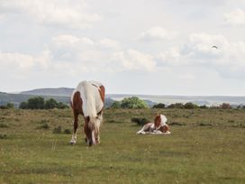Dellcote - Devon - 1172087 - thumbnail photo 47