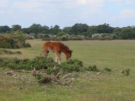 Dellcote - Devon - 1172087 - thumbnail photo 48