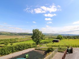 A view of a field with a tree and a shed at Llwyngwinau Isaf Barn in Tynreithyn near Tregaron