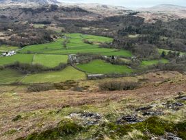 A view of green fields and trees from above at Dakota near Boot