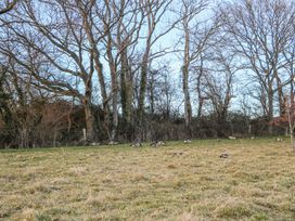 A grassy field with a group of geese near leafless trees at Perch Hut in Hadlow Down near Crowborough
