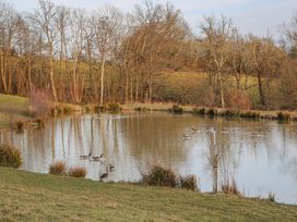 A pond with ducks and geese surrounded by grass and leafless trees at Tench Hut in Hadlow Down near Crowborough