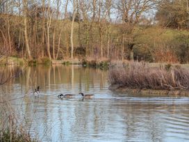 A pond with geese swimming surrounded by trees and bushes at Tench Hut in Hadlow Down near Crowborough