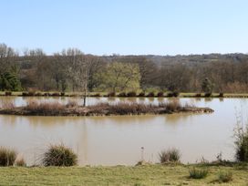 A pond with grassy banks and an island with shrubs and trees at Tench Hut in Hadlow Down near Crowborough