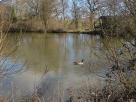 A pond with a duck swimming and trees surrounding the water at Tench Hut in Hadlow Down near Crowborough