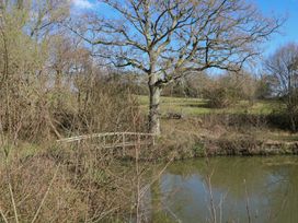 A small wooden bridge over a pond surrounded by trees and bushes at Carp Hut in Hadlow Down near Crowborough