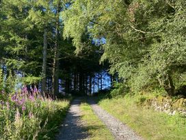 Cae'n Y Coed Barn - North Wales - 1172250 - thumbnail photo 19