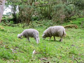 Two sheep grazing in a grassy area surrounded by trees at 2 New Mill Cottages in North Bovey