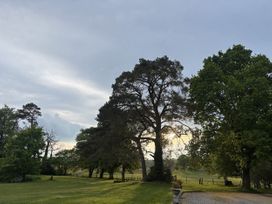 An outdoor view with trees and grass at Glanrannell Park House Crugybar near Brechfa