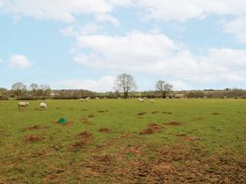 A grassy field with scattered sheep and trees in the distance at The Round House in Wardington near Chacombe