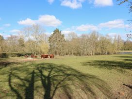A field with grazing cows and leafless trees under a blue sky at Studio Cottage in Surlingham near Poringland