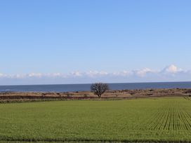A landscape with a tree, grass field, and ocean at Seafield Granary Alnmouth