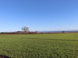 A field with a tree and sea view at Seafield Coach House in Alnmouth