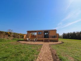 Fir Tree Shepherd's Hut - Mid Wales - 1172480 - thumbnail photo 33