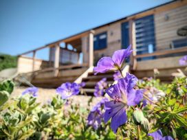A house with steps and flowers in the garden at Fir Tree Shepherd's Hut in Llanon
