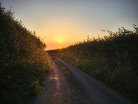 A road with hedges and a sunset at Fir Tree Shepherd's Hut Llanon