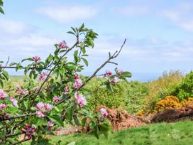 A flowering tree branch with pink blossoms in a garden with green shrubs and a view of the sea at Wayside Farm Dairy Cottage Cloughton near Burniston