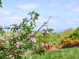 Wayside Farm Stable Cottage - North Yorkshire (incl. Whitby) - 1172539 - thumbnail photo 21