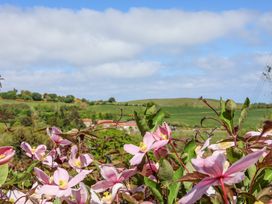 Wayside Farm Cart Cottage - North Yorkshire (incl. Whitby) - 1172540 - thumbnail photo 32