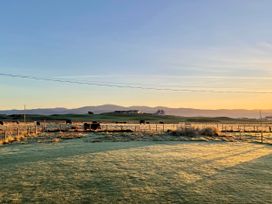 A field with cows grazing and a house in the background at Twyn Isaf in Borth