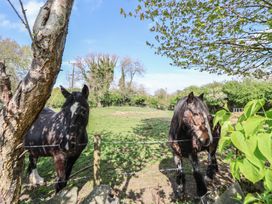 Two horses standing behind a wire fence in a grassy field with trees in the background at Cartref in Pen Y Ball near Holywell