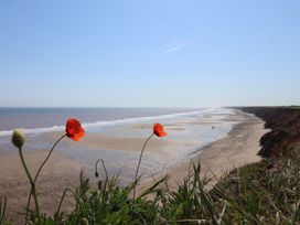 A beach with poppy flowers in the foreground at The Old Vicarage Annex Hornsea
