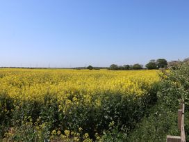 A field of yellow flowers and wind turbines at The Old Vicarage Annex Hornsea