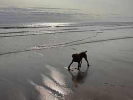 A dog on the beach near the ocean at The Old Coach House at The Vicarage, Mappleton near Hornsea