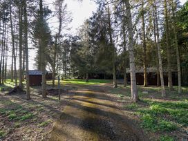 A path through a wooded area with small wooden buildings among trees at Pheasant Withern near Alford