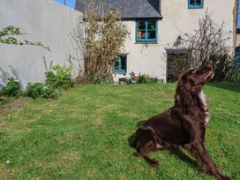 Tadworthy Tower - Devon - 1172656 - thumbnail photo 23