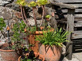 A garden with terracotta pots containing various plants at Stargazy Skies near Beacon Drive