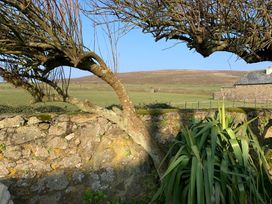 A view of a tree and stone wall with grass and a house at Stargazy Skies in Beacon Drive near St Agnes