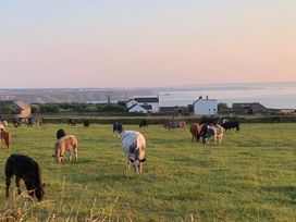 A field with cows grazing and houses overlooking the sea at Stargazy Skies, Beacon Drive near St Agnes