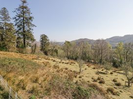 A hillside with small trees supported by wooden frames and larger trees in the background at Bwthyn y Coediwr The Woodcutters Cottage in Tan Y Bwlch Maentwrog