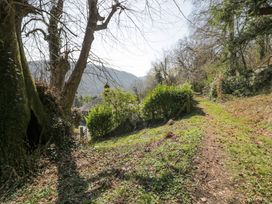 A wooded path with trees and bushes near a house with a tiled roof at Bwthyn y Coediwr The Woodcutters Cottage in Tan Y Bwlch Maentwrog