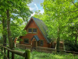A wooden cabin surrounded by trees at Lodge 68 - Fern Gully Finlakes Holiday Park near Chudleigh
