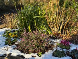 A garden with flowers and snow at Woodland View 31 - The Hawthorns Finlakes Holiday Park near Chudleigh