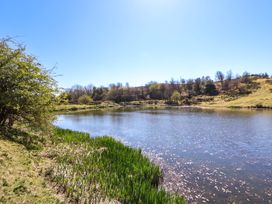 A pond with reeds on the shore and trees in the background at Walnut Cottage in Halkyn