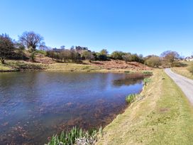A pond with grassy banks beside a narrow road and trees on a hill at Walnut Cottage in Halkyn