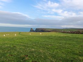 A field with sheep and a view of the coastline at Puffin Cottage in Tintagel
