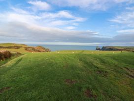 A grassy landscape with ocean views at Puffin Cottage in Tintagel