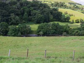 A river surrounded by trees and grass at Howgill Head in Kendal