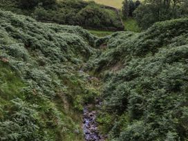 A view of ferns and a stream in a valley at Howgill Head, Kendal
